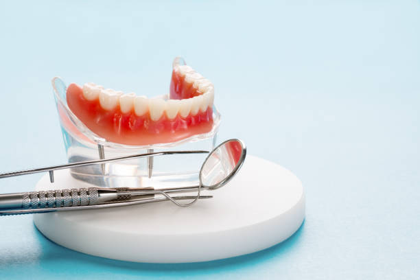Professional  Holistic Dental Services in Weston Lakes, TX